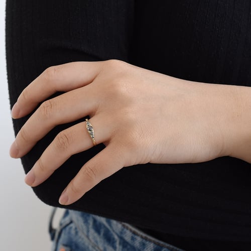 Ring mit einem Salt and Pepper Diamanten Tamir