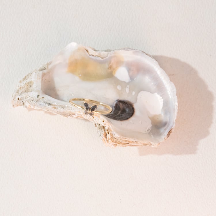 Ring mit Salt and Pepper Diamanten in Schmetterlingsform Romy 100969