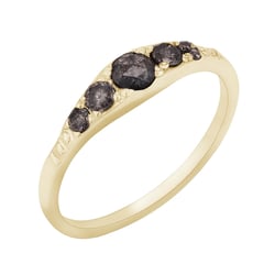 Ring mit einem Salt and Pepper Diamanten Tamir