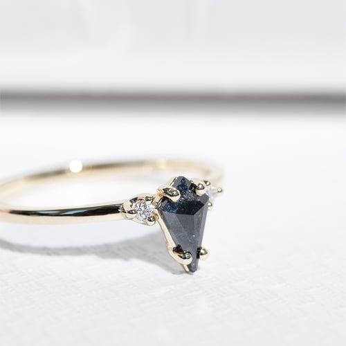 Goldring mit Salt and Pepper Diamant in Kiteform Adalia