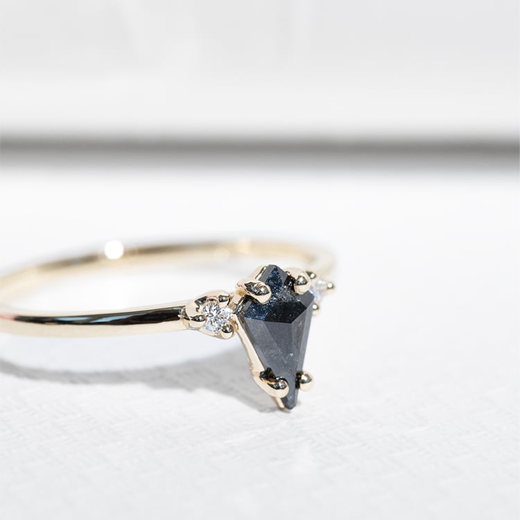 Goldring mit Salt and Pepper Diamant in Kiteform Adalia 125617