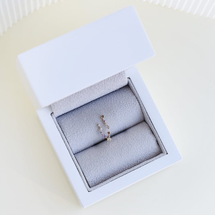 Ohrring mit Sternzeichen Pisces 113229