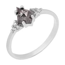 Origineller Ring mit einem Salt and Pepper Diamanten Nele