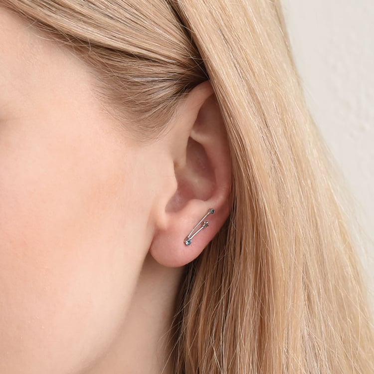 Ohrring mit Sternzeichen Aquarius 95302