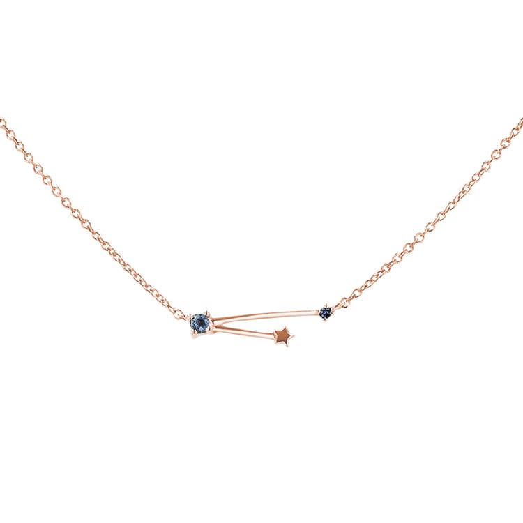 Halskette mit Tierkreiszeichen Aquarius 139333