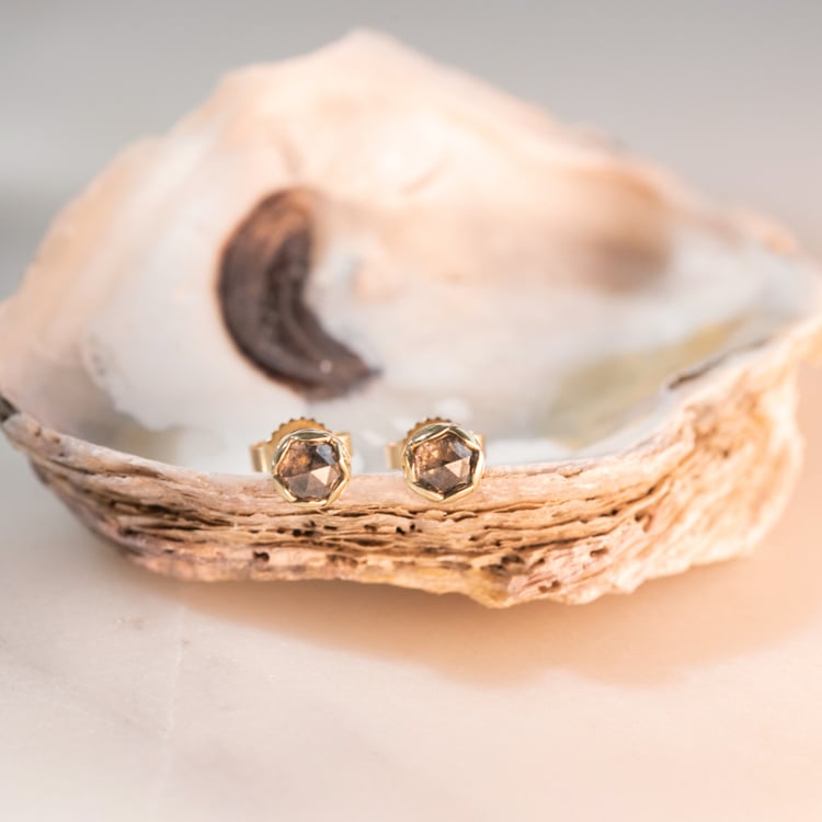 Minimalistische Ohrringe mit Salt and Pepper Diamanten Shyla 103538