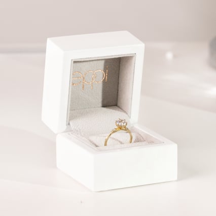 Holzkiste mit Velours Glory