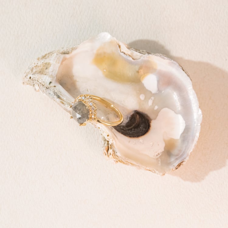 Goldring mit einem Salt and Pepper Diamanten in Hexagon-Form Tracy 100947