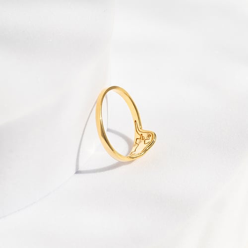 Silberner Ring mit einem versteckten Elefanten Der Kleine Prinz