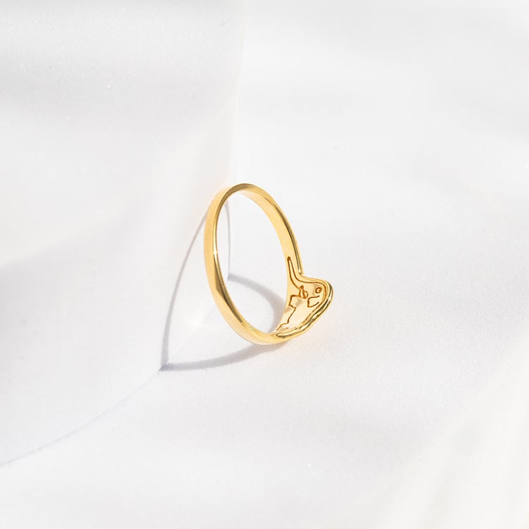 Silberner Ring mit einem versteckten Elefanten Der Kleine Prinz 141803