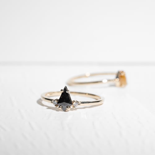 Goldring mit Salt and Pepper Diamant in Kiteform Adalia
