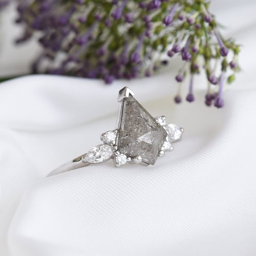 Ring mit Salt and Pepper Diamant Isabela