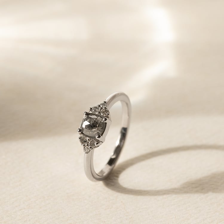 Goldener Ring mit Salt and Pepper Diamant Agathe 138385