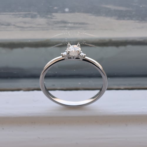 Goldring mit Salt and Pepper Diamant Hye