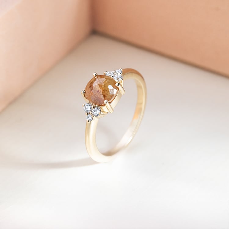 Goldener Ring mit einem Salt and Pepper Diamanten Agathe 151893