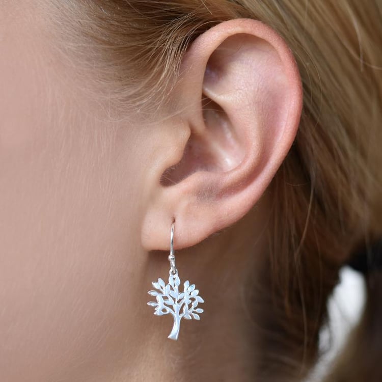 Ohrringe aus Silber 22096