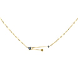 Halskette mit Tierkreiszeichen Aquarius