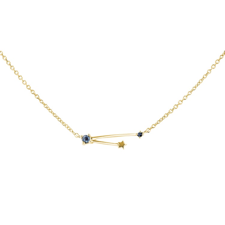 Halskette mit Tierkreiszeichen Aquarius