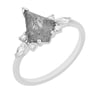 Ring mit Salt and Pepper Diamant Isabela