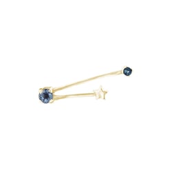 Ohrring mit Sternzeichen Aquarius