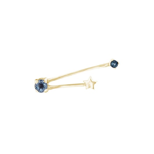 Ohrring mit Sternzeichen Aquarius