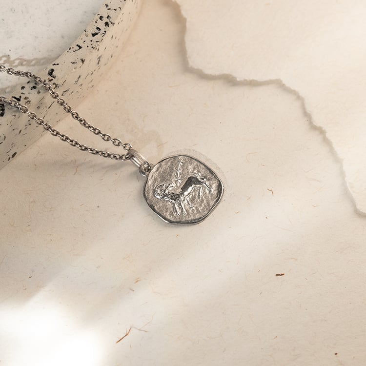 Silberanhänger mit Symbolen des Tierkreiszeichens 136691