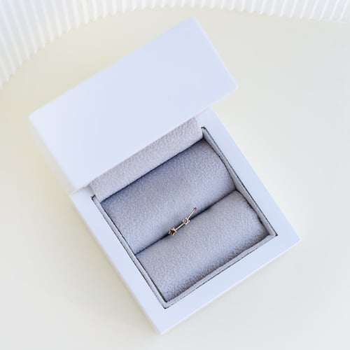 Ohrring mit Sternzeichen Aries