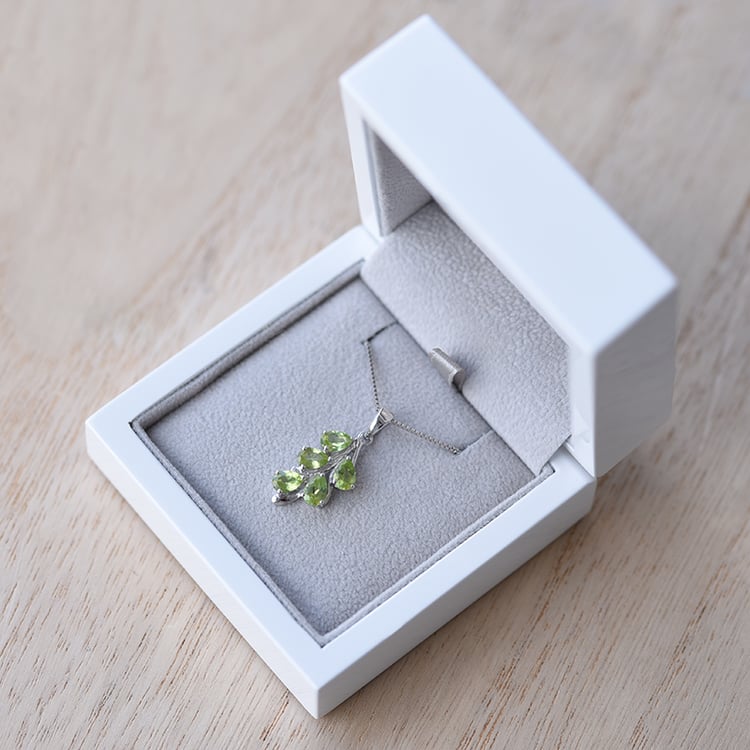 Halskette aus Silber 60101