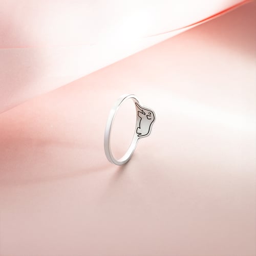 Ring mit einem versteckten Elefanten Der Kleine Prinz