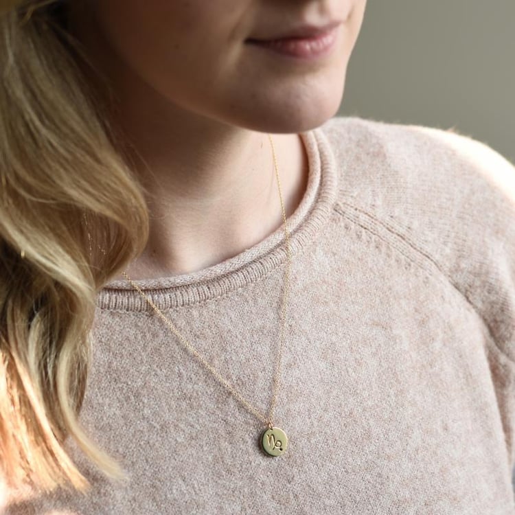 Silberner Anhänger mit Sternzeichen und Granat Steinbock 103446