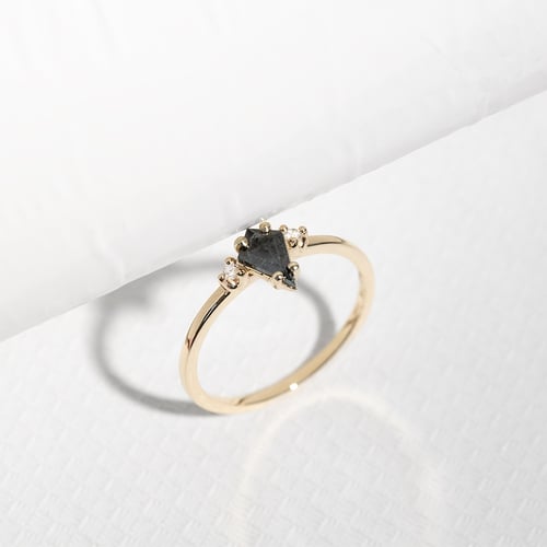 Goldring mit Salt and Pepper Diamant in Kiteform Adalia