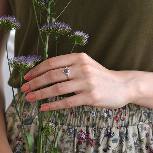 Ring mit Salt and Pepper Diamant Isabela