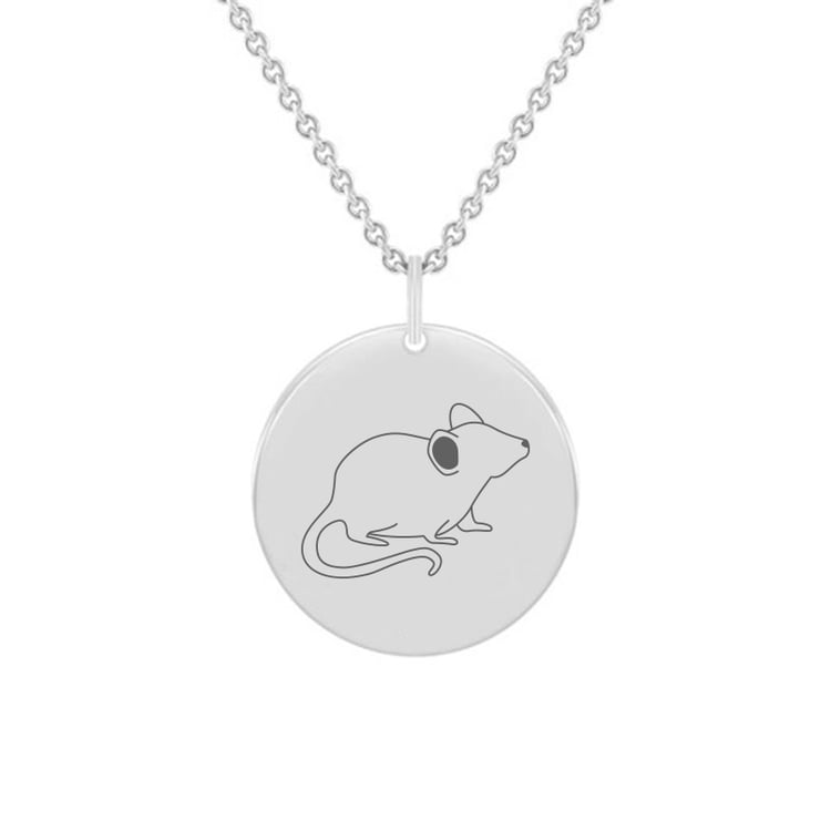 Silberner personalisierter Halskette mit chinesischem Tierkreiszeichen 134840