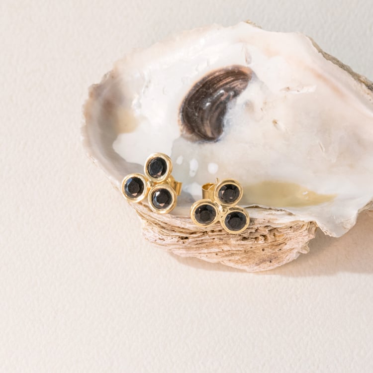 Silberne Ohrstecker mit schwarzen Onyxen Eira 102350