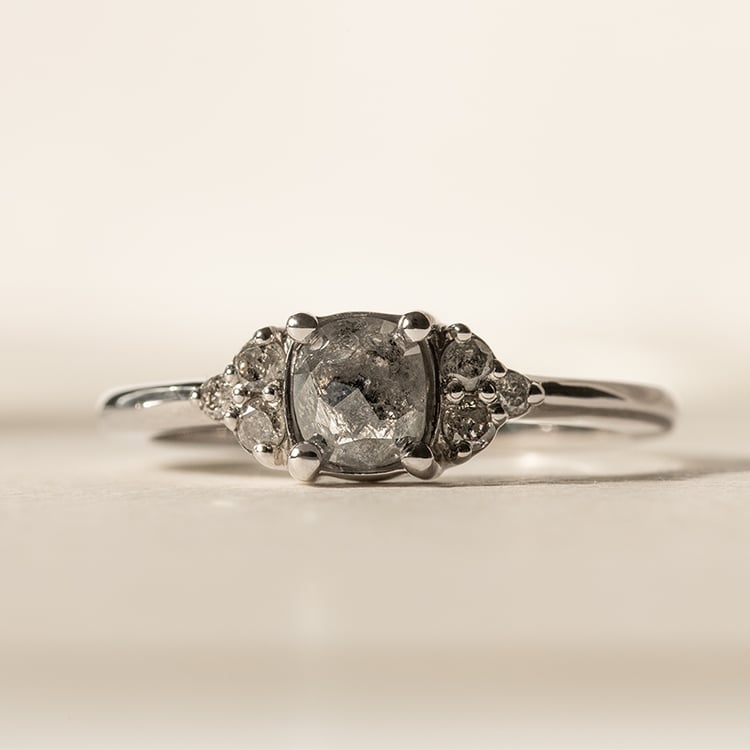 Goldener Ring mit Salt and Pepper Diamant Agathe 138384