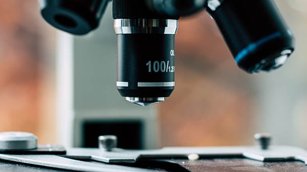 Warum wir bei Eppi Lab Grown Diamanten lieben 