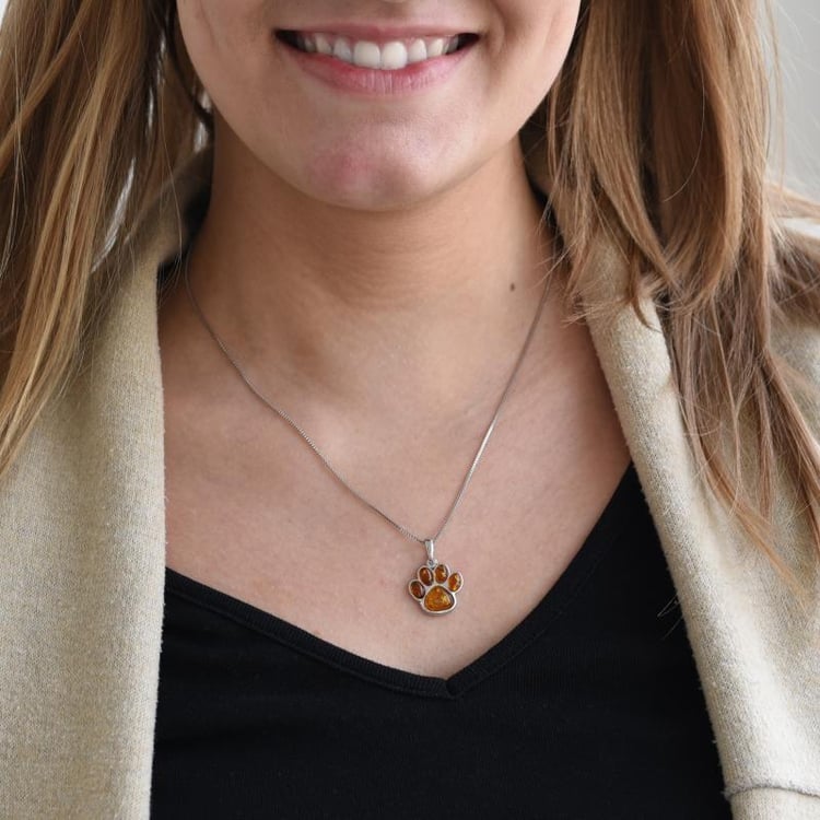 Bernsteinpfote im silbernen Anhänger 52067