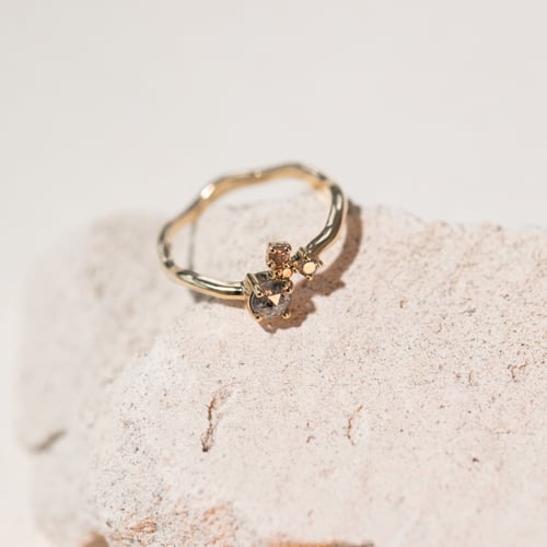 Silberner Cluster-Ring mit Salt and Pepper Diamanten Roche