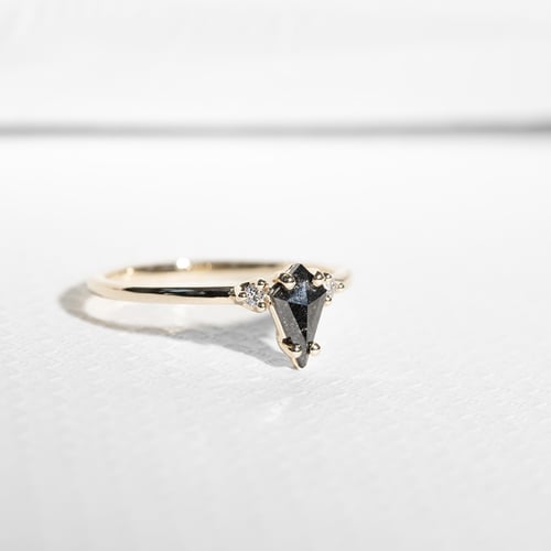 Goldring mit Salt and Pepper Diamant in Kiteform Adalia