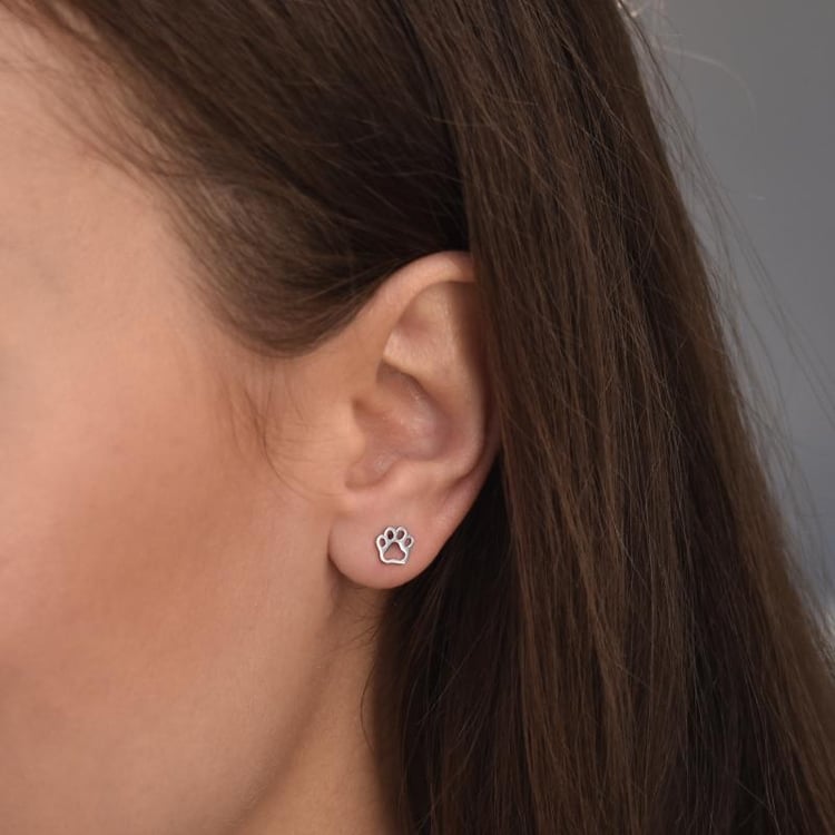 Silberne Ohrringe 35872