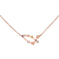 Halskette mit Tierkreiszeichen Capricorn