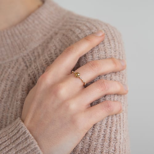 Ring mit Salt and Pepper Diamanten Imelda