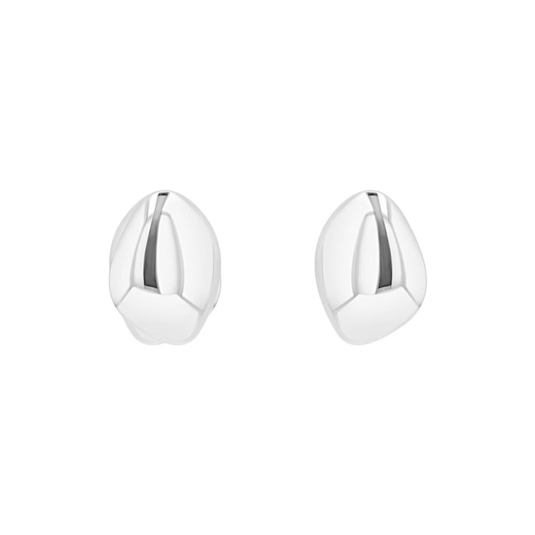 Silberne Ohrringe 163989