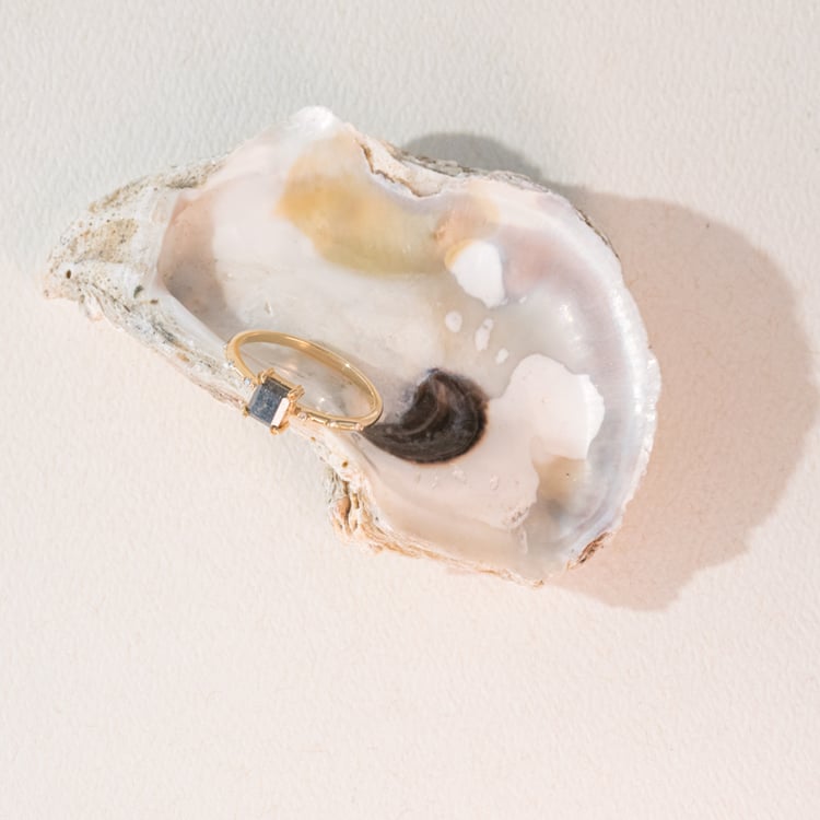 Goldener Ring mit Salt and Pepper Diamanten Emilis 100978