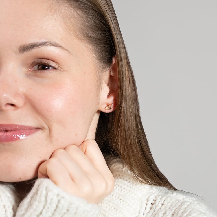 Ohrstecker Der Kleine Prinz und der Fuchs 151217