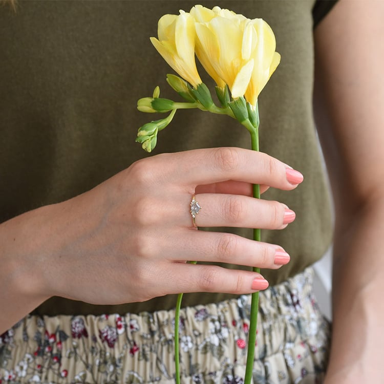 Salt and Pepper Diamant im goldenen Ring Stefan 82467