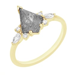 Ring mit Salt and Pepper Diamant Isabela