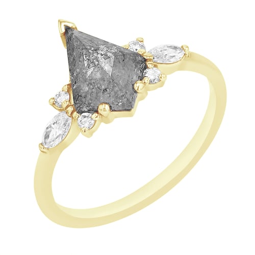 Ring mit Salt and Pepper Diamant Isabela