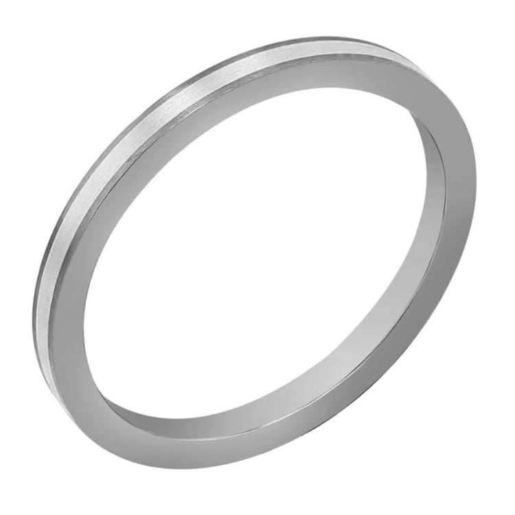 Titanring mit Silberverzierung Amrit